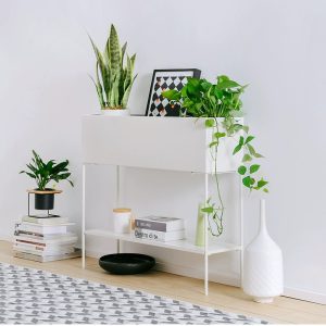 Garden  elevated plant stand raised tall flower bed box