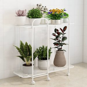 Succulent flower plant stand 2 tier