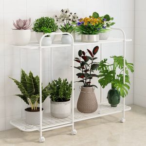 Succulent flower plant stand 2 tier